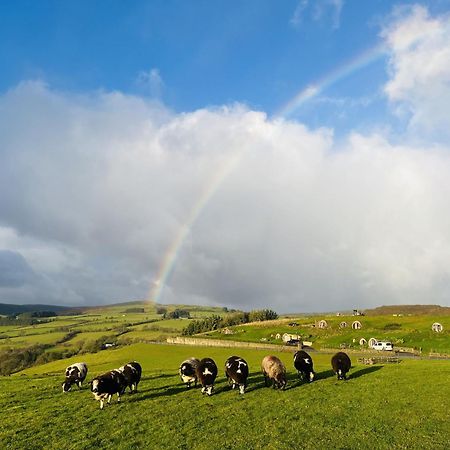 Shepherds View Rhayader Exterior foto
